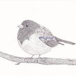 Grey Bird Print Watercolor Painting Print